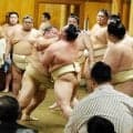 大相撲“鉄人”玉鷲が連合稽古で存在感「また少しずつ頑張ります」幕内復帰へ懸命に汗