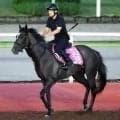 【ローズＳ】ナムラコスモスは前走大敗から逆襲に燃える　大橋調教師「今回は走り慣れた舞台になるからね」
