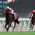 「良い夢」「日本の宝」「化け物を産駒に」香港の怪物に挑み続けた名スプリンターにＳＮＳ拍手　サトノレーヴ電撃引退