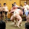 大の里が秋場所に向け貫禄たっぷり　大関・琴桜を圧倒し「１５日間戦える体はできつつある」と自信