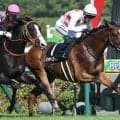【チャレンジC展望】前走3勝クラス組の活躍に期待