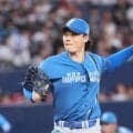 日本ハム山崎福也はソフトバンク柳田が天敵、被打率４割超え＆被本塁打も最多の６本／見どころ
