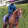 【注目馬動向】ウインカーネリアンは予定通り連覇のかかるスプリンターズＳへ　鹿戸調教師「明日からウッドで速いのをやる」