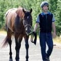 【注目馬動向】キタサンブラックの弟シュガークンはマイルの富士Ｓへ　清水久調教師「テンのスピードはありますから」
