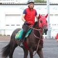 【注目馬動向】ブルージェイは京王杯２歳Ｓを視野に　新馬戦から２連勝のシスキン産駒