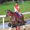 フォーエバーヤングがベルモントパーク競馬場に到着　僚馬シンエンペラーとともに　矢作芳人厩舎が公式Ｘで報告