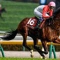 【セントライト記念予想オッズ】ゴーイントゥスカイが予想1番人気