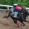 【セントライト記念】バドリナートは差す競馬で好走した前走が収穫大　松永幹調教師「距離延長も大丈夫かな」