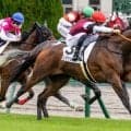 レイクヴィラファーム生産の伏兵2頭 東西トライアルで優先出走権獲得なるか