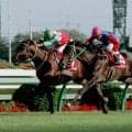 去勢で素質開花 レガシーワールドが制した92年セントライト記念を回想