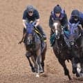 【チャレンジＣ】秘めた能力は一級品！４連勝へマリアイリダータが軽快な動き　田中博調教師「力みもなく、スムーズに...」