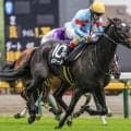 【ローズS】名馬イクイノックスの全妹 イクシードが重賞初制覇なるか
