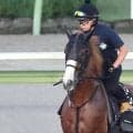 【注目馬動向】ダイヤモンドノットはスワンＳへ　福永調教師「一度使って上がってくると思う」