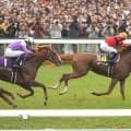 ０８年菊花賞馬オウケンブルースリが天国へ　「肺炎による呼吸不全で息を引き取りました」けい養先が発表