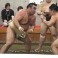 綱取りの大関・霧島が時津風一門連合稽古で１９勝２敗　横綱・大の里不在の“肩すかし”も「稽古するしかない」