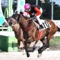 フォーエバーヤングが制した新馬戦の１番人気馬が園田７Ｒで快勝　重賞５勝馬の孫ベラジオラオウ　不良馬場で２馬身差をつける