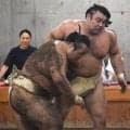 綱とり霧島、時津風一門連合稽古で藤ノ川らに19勝　元鶴竜の音羽山親方も信頼「実力ある」