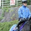 【注目馬動向】今度はアメリカへ！ディープモンスターがＢＣターフを目指すことが判明　京都大賞典をステップに