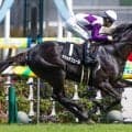 【セントライト記念】伯父は日本ダービー馬マカヒキ サヴォアフェールが実績馬を撃破なるか