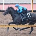 【セントライト記念】「芯が入ってきた」福永調教師も手応え十分！アスクエジンバラはラスト１１秒４マーク