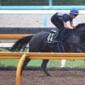 【セントライト記念】ダービー３着バステールは「見た感じで分かる」成長を実感も…斉藤崇調教師「物足りなさ」指摘