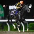 【川崎・戸塚記念結果】8番人気クレームドールが捲り切って重賞初制覇