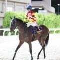 【戸塚記念】１番人気のエンドレスソロウは突き放されて３着　石川倭騎手は完敗認める「勝ち馬は強かった」