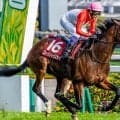 武豊騎手がセントライト記念初制覇なるか ゴーイントゥスカイで5回目の参戦だ