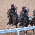 【セントライト記念】武豊騎手とコンビのゴーイントゥスカイが余力十分に併入　上原佑師「リラックスして良かったと思います」
