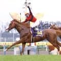 内田博幸騎手がオウケンブルースリを悼む　２００８年の菊花賞をコンビで制覇「思い出に残る１頭で、支えてくれた馬」