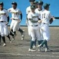 秋季千葉県高校野球大会、対戦相手決まる　48チームが熱戦