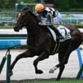 【チャレンジC出走馬・騎手確定】ジョバンニ＆松山弘平騎手、マテンロウゲイル＆横山和生騎手など16頭