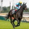 【ローズS出走馬・騎手確定】イクシード＆C.ルメール騎手、タイセイボーグ＆西村淳也騎手など12頭