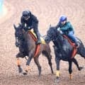 【オールカマー・１週前】中山コース４連勝中のエセルフリーダは３頭併せで最先着　武藤調教師「１週前としてはいい」