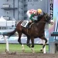 ディクテオンでコリアＣ連覇達成　矢野貴之騎手が川崎４Ｒで帰国後初勝利　国内復帰１１戦目「長かった…」