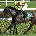 母は重賞2勝のトロワゼトワル スローブギがミシェル騎手で初陣だ