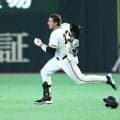 【巨人】キャベッジのヘルメットを中日サノーが“お届け”　助っ人同士の仲の良さ見られる