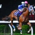 【川崎・若武者賞結果】ルースアグレッシブが5馬身差逃げ切りで重賞初制覇