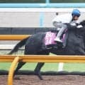 【ローズＳ・超ブル診断】無傷３連勝馬よりも…　配当妙味はオークス敗退馬にあり