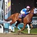 【川崎・若武者賞】ルースアグレッシブが逃げて５馬身差圧勝　完璧エスコートの笹川翼騎手「これしかないと思っていた」
