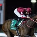 フォーエバーヤング出走予定　米G1ジョッキークラブGCの馬券発売決定