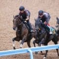 【セントライト記念】武豊騎手と挑むゴーイントゥスカイが菊の前哨戦へ好ムード　上原佑紀調教師、課題は「解消されています」
