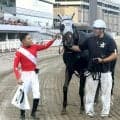 連勝だってムリじゃない！　ムリムリカタツムリがシャイニングトレジャー賞に出走　メンコには「ＭＵＲＩＭＵＲＩ」