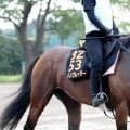 【セントライト記念・金曜気配】サノノグレーターはソエの不安解消でコースでもしっかり　尾形師「今は遠慮なく…」