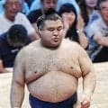 巡業離脱の高安は初日琴桜、２日目安青錦　朝乃山－一山本は約２年ぶり　秋場所の取組編成会議