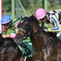【JRA・WIN5】本日のWIN5は的中74票、配当377万7170円