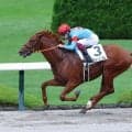 【新馬/阪神6R】ゴールドドリーム産駒エピドゥブレがデビューV…2馬身半差の快勝