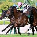 【チャレンジＣ】松山弘平騎手「ホッとしています」重賞２着４度のジョバンニが惜敗続きにピリオド　