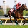 【今日の注目ポイント】中山でセントライト記念と阪神でローズS