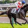 GI・2勝アスコリピチェーノの半妹 セレクト4億円のダノンアスコルティが連勝なるか